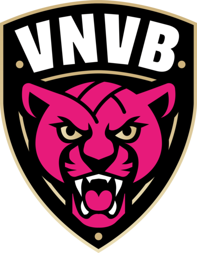 Covoiture pour aller voir le Vandœuvre Nancy Volley-Ball !